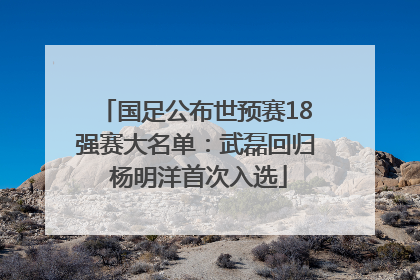国足公布世预赛18强赛大名单：武磊回归 杨明洋首次入选