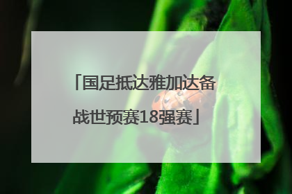 国足抵达雅加达备战世预赛18强赛