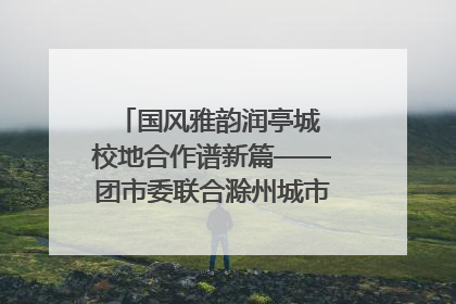 国风雅韵润亭城 校地合作谱新篇——团市委联合滁州城市职业学院助力传统文化“破圈”绽放