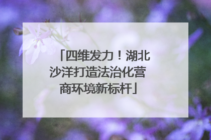 四维发力！湖北沙洋打造法治化营商环境新标杆