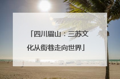 四川眉山：三苏文化从街巷走向世界