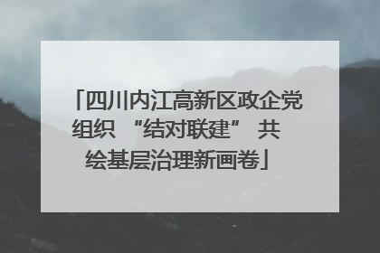 四川内江高新区政企党组织 “结对联建” 共绘基层治理新画卷