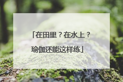 在田里？在水上？瑜伽还能这样练