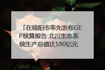 在绵阳市率先发布GEP核算报告 北川生态系统生产总值达590亿元｜新闻发布最前线