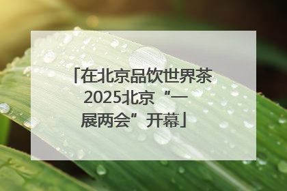 在北京品饮世界茶 2025北京“一展两会”开幕