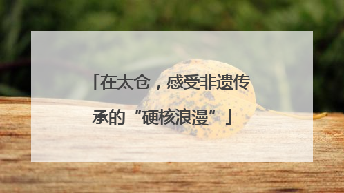 在太仓，感受非遗传承的“硬核浪漫”