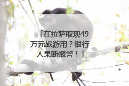 在拉萨取现49万元旅游用？银行人果断报警！