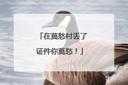 在莫愁村丢了证件你莫愁！