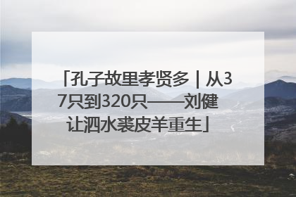 孔子故里孝贤多｜从37只到320只——刘健让泗水裘皮羊重生