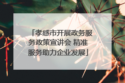 孝感市开展政务服务政策宣讲会 精准服务助力企业发展