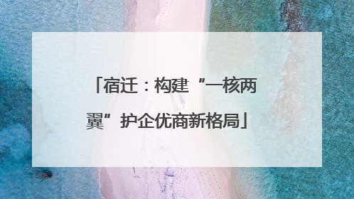 宿迁：构建“一核两翼”护企优商新格局