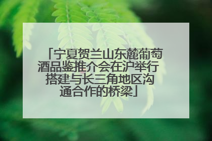 宁夏贺兰山东麓葡萄酒品鉴推介会在沪举行 搭建与长三角地区沟通合作的桥梁