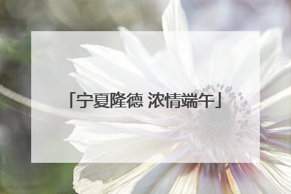 宁夏隆德 浓情端午