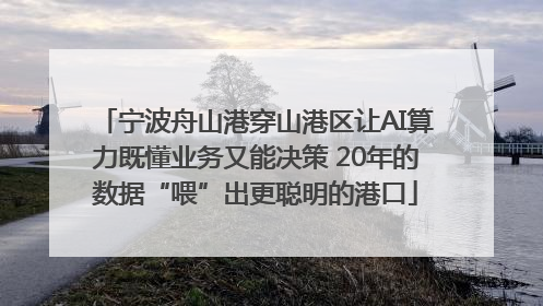 宁波舟山港穿山港区让AI算力既懂业务又能决策 20年的数据“喂”出更聪明的港口