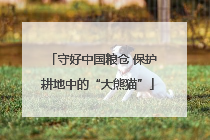 守好中国粮仓 保护耕地中的“大熊猫”