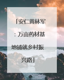 安仁黄林军：万亩药材基地铺就乡村振兴路