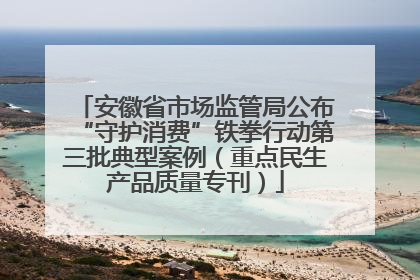 安徽省市场监管局公布“守护消费”铁拳行动第三批典型案例（重点民生产品质量专刊）