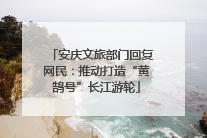 安庆文旅部门回复网民：推动打造“黄鹄号”长江游轮