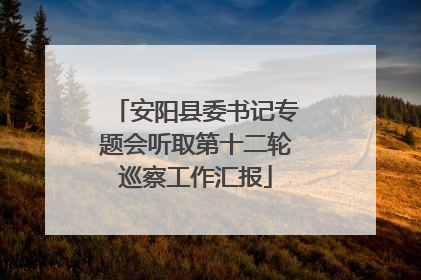 安阳县委书记专题会听取第十二轮巡察工作汇报
