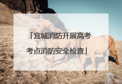 宜城消防开展高考考点消防安全检查
