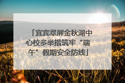 宜宾翠屏金秋湖中心校多举措筑牢“端午”假期安全防线