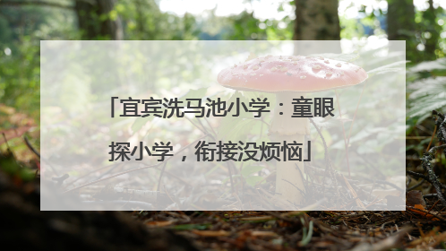 宜宾洗马池小学：童眼探小学，衔接没烦恼