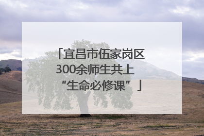 宜昌市伍家岗区300余师生共上“生命必修课”