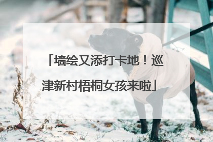 墙绘又添打卡地！巡津新村梧桐女孩来啦