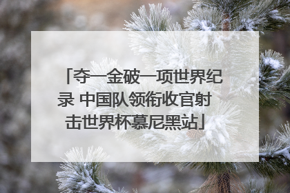 夺一金破一项世界纪录 中国队领衔收官射击世界杯慕尼黑站