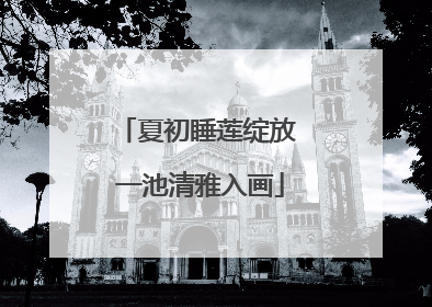 夏初睡莲绽放 一池清雅入画