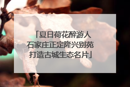 夏日荷花醉游人 石家庄正定隆兴别苑打造古城生态名片