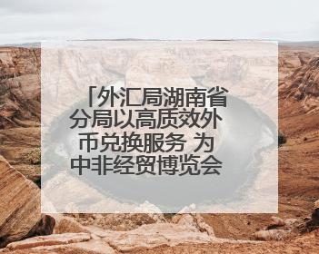 外汇局湖南省分局以高质效外币兑换服务 为中非经贸博览会赋能