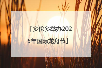 多伦多举办2025年国际龙舟节