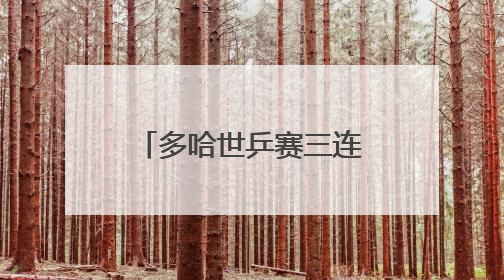 多哈世乒赛三连冠，王楚钦/孙颖莎收下兹·赫杜塞克杯复刻奖杯
