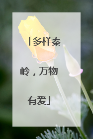 多样秦岭，万物有爱