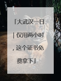 大武汉一日｜仅用两小时，这个证书免费拿下
