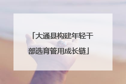 大通县构建年轻干部选育管用成长链