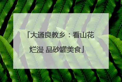 大通良教乡：看山花烂漫 品砂罐美食