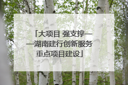 大项目 强支撑——湖南建行创新服务重点项目建设