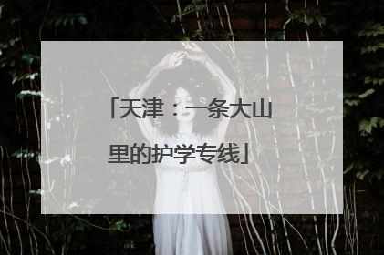 天津：一条大山里的护学专线