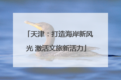 天津：打造海岸新风光 激活文旅新活力