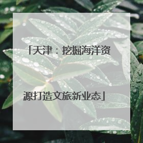 天津：挖掘海洋资源打造文旅新业态