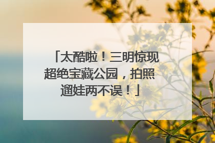 太酷啦！三明惊现超绝宝藏公园，拍照遛娃两不误！