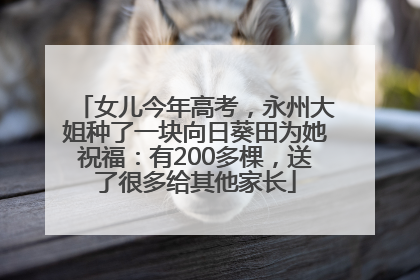 女儿今年高考，永州大姐种了一块向日葵田为她祝福：有200多棵，送了很多给其他家长