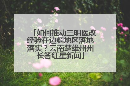如何推动三明医改经验在边疆地区落地落实？云南楚雄州州长答红星新闻