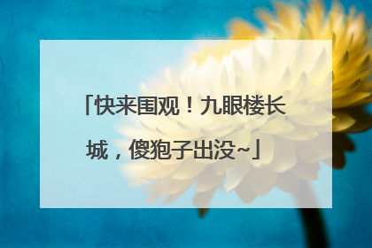快来围观！九眼楼长城，傻狍子出没~