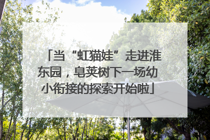 当“虹猫娃”走进淮东园，皂荚树下一场幼小衔接的探索开始啦