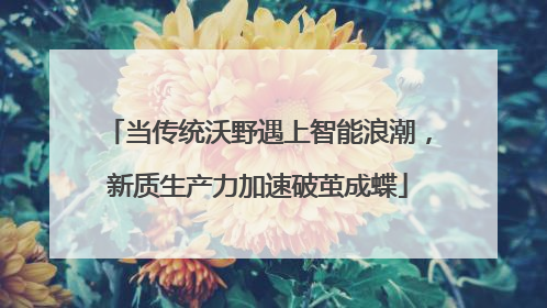 当传统沃野遇上智能浪潮，新质生产力加速破茧成蝶