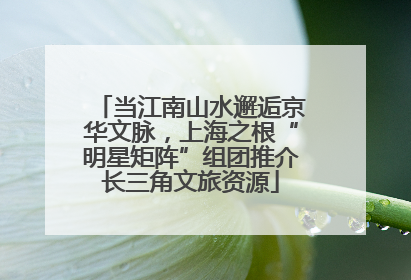 当江南山水邂逅京华文脉，上海之根“明星矩阵”组团推介长三角文旅资源