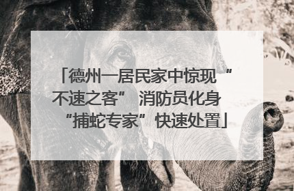 德州一居民家中惊现“不速之客” 消防员化身“捕蛇专家”快速处置